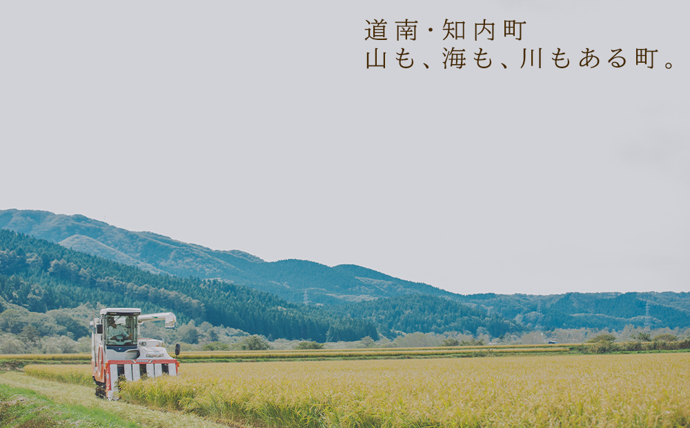 「真空パックのお米450g 人気3品種おまかせセット」特別栽培米産地直送《帰山農園》