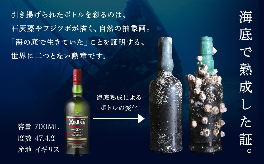 知内【海底熟成ウイスキーC】×海峡育ち殻付きかき 25個入り