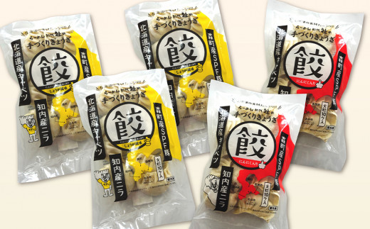 北海道の食材たっぷり！手作り餃子５袋セット＜スリーエス＞
