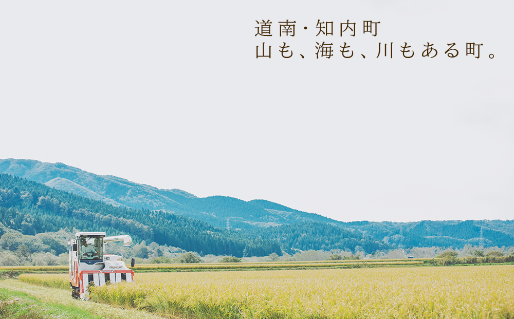 特別栽培米産地直送 ゆきさやか 2kg×3回 《帰山農園》【定期便・頒布会特集】