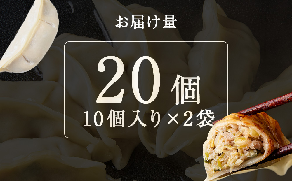 知内ニラ餃子（10個入り）2袋【知内観光協会】