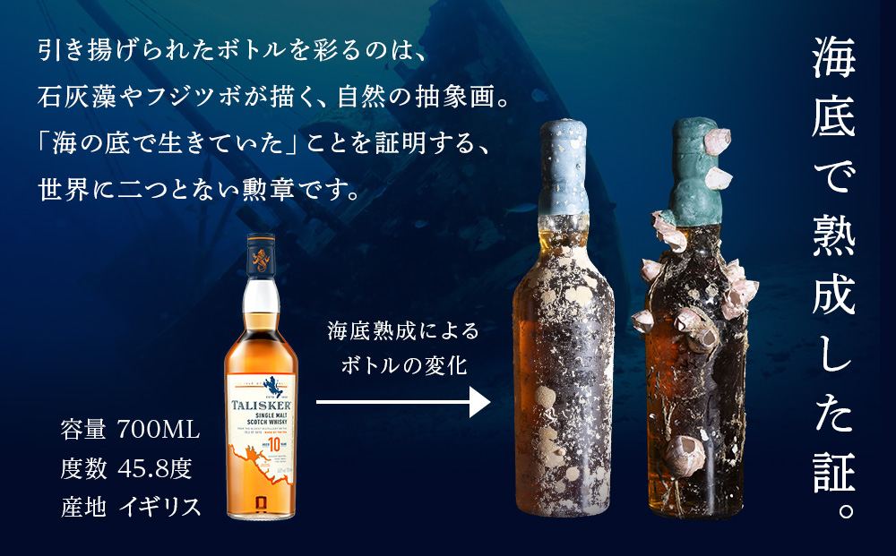 知内【海底熟成ウイスキーB】×海峡育ち殻付きかき 25個入り