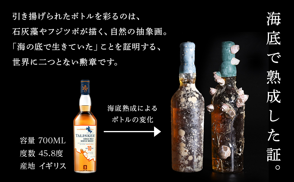 知内海底熟成ウイスキー B