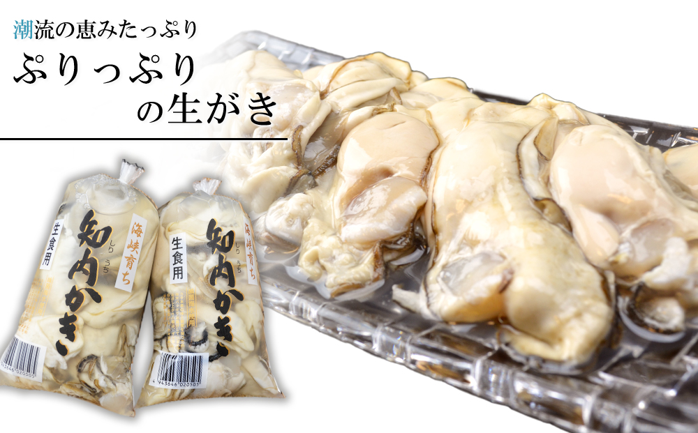 生かき むき身 350g×5本 ＜上磯郡漁業協同組合＞