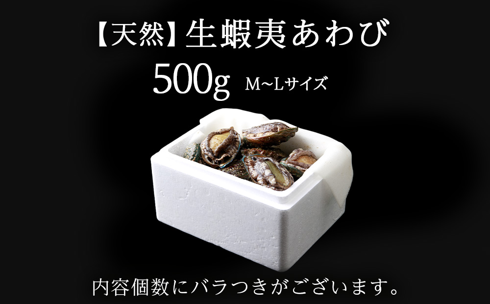 北海道 知内産　天然活あわび約500g（M～L詰め合わせ）≪上磯漁業協同組合≫