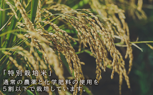 特別栽培米産地直送「ふっくりんこ・ゆきさやか食べ比べ　各2kg」《帰山農園》