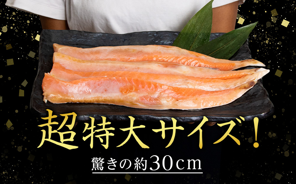 【訳あり】 鮭 ハラス 燻製 500g×2パック 合計1kg　セット トラウト サーモン 冷凍 海鮮 魚 さけ おつまみ おかず ＜三洋食品＞