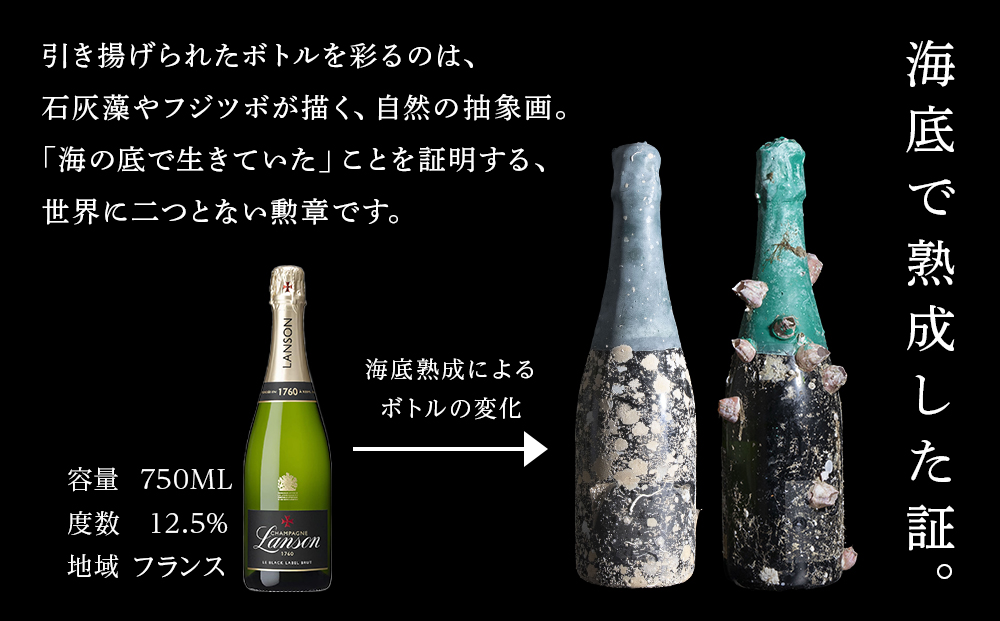 ãæµ·åºçæã·ã£ã³ãã³Eãã©ã³ãœã³ããªã¥ãã