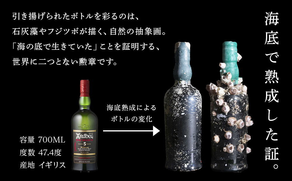 知内海底熟成ウイスキー C