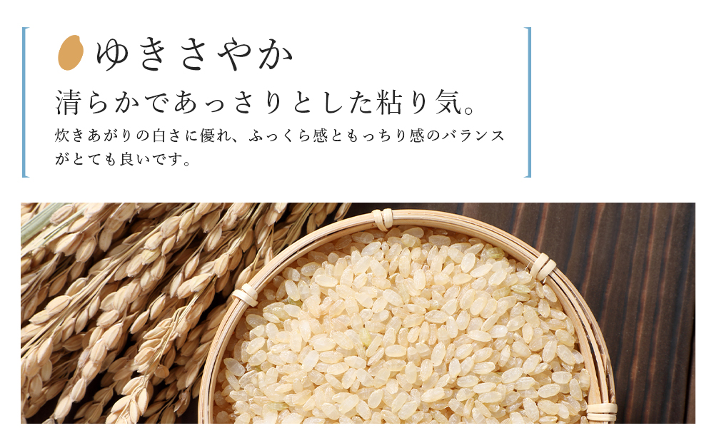 新米発送 玄米 ゆきさやか 5kg　特別栽培米産地直送《帰山農園》