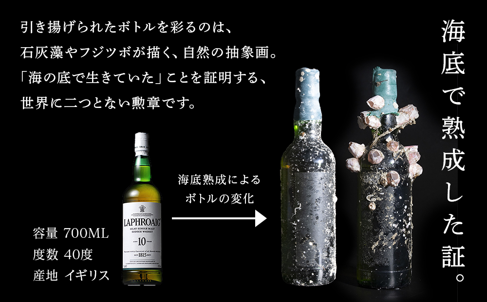 知内海底熟成ウイスキー D