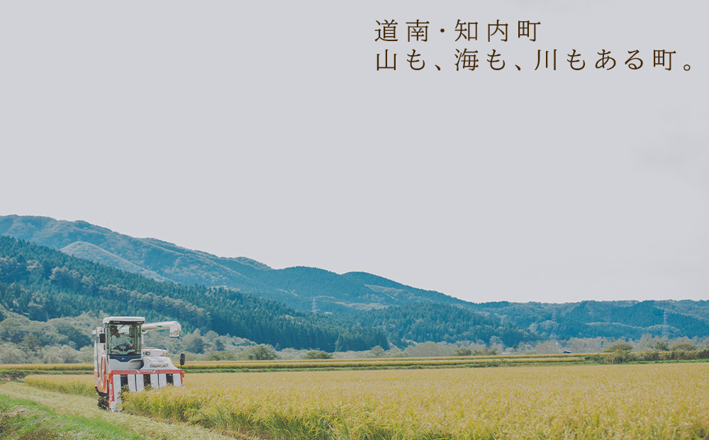 特別栽培米産地直送 ふっくりんこ 2kg×3回 《帰山農園》【定期便・頒布会特集】