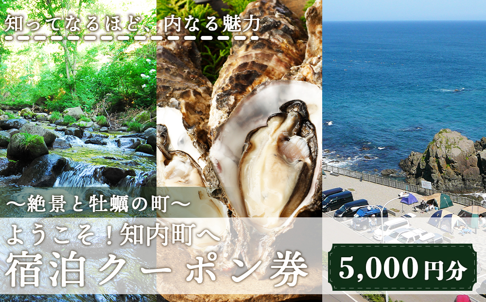AA005　〜絶景と牡蠣の町〜 ようこそ！知内町へ☆宿泊クーポン5,000円分