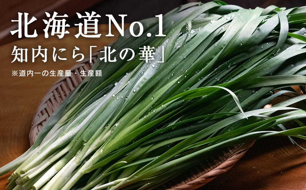 【2025年発送予約】知内産 1番ニラ「北の華」10束【JA新はこだて】