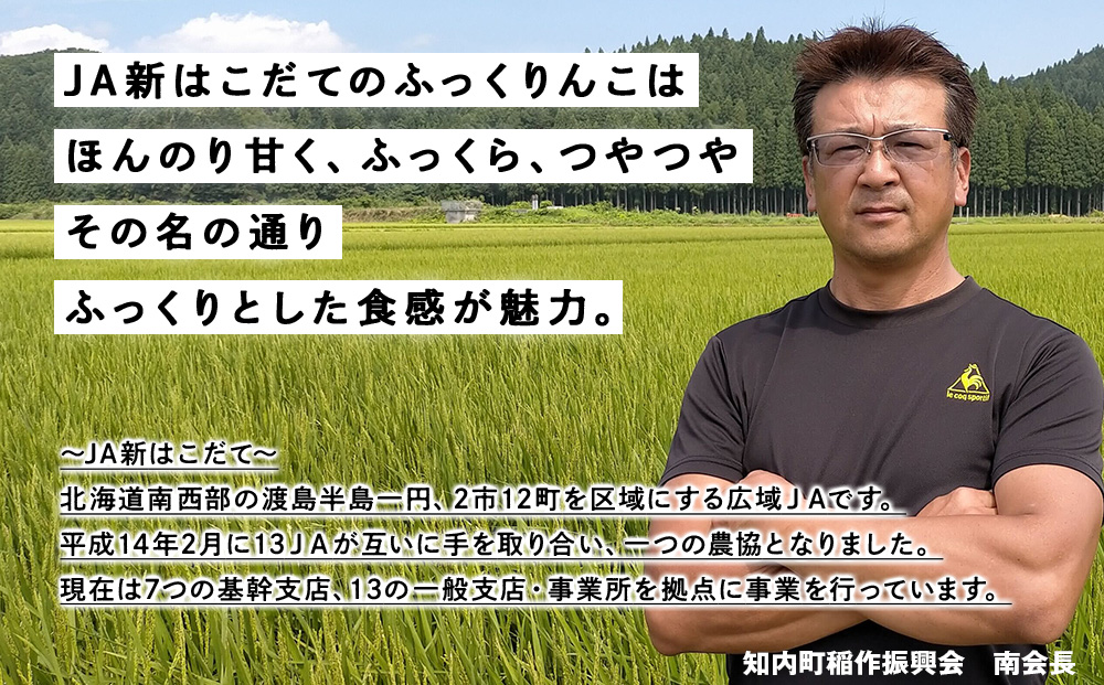 新米予約 ふっくりんこ 5kg 【JA新はこだて】 知内町 ふるさと納税 こめ 北海道産お米 北海道米 美味しいお米 北海道産米 ブランド米