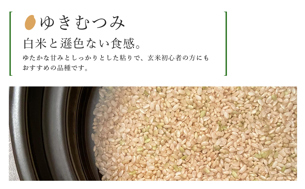 【新米発送】ゆきむつみ 1合（150g）×2袋 国産 北海道 北海道米 知内 帰山農園 北海道産 ゆきむつみ 特別栽培米 特別栽培農産物