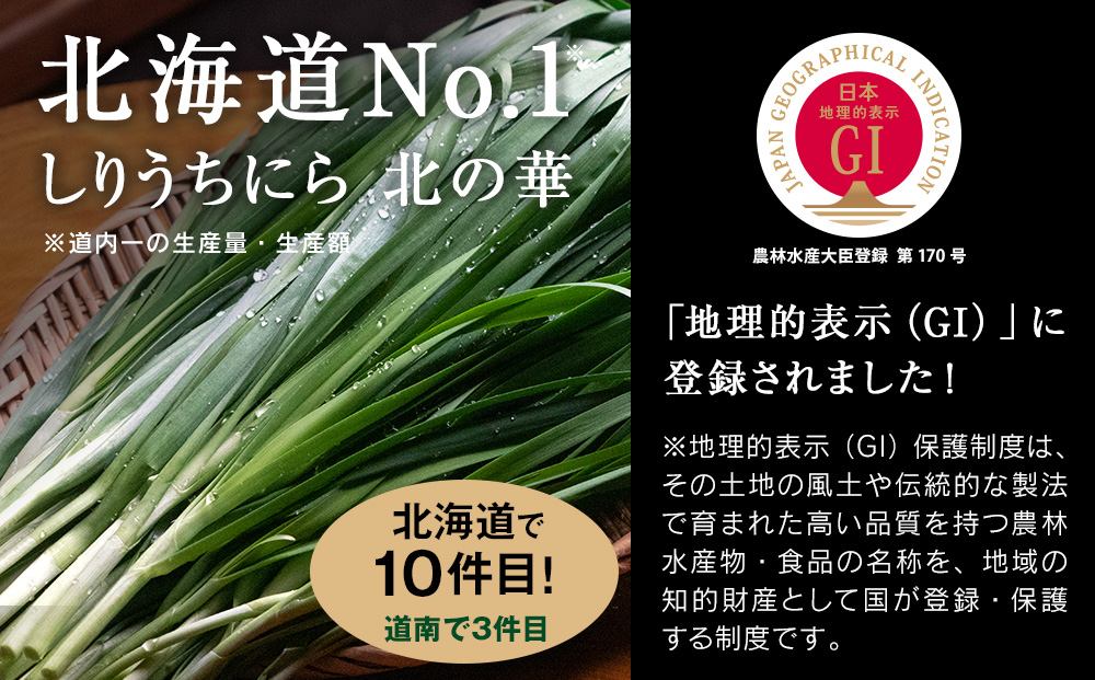 【2026年発送予約】 知内産 一番ニラ「北の華」50束【JA新はこだて】