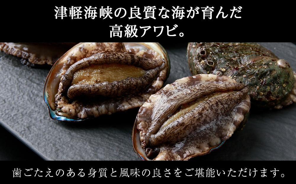 北海道 知内産　天然かつあわび約1kg（M～L詰め合わせ）≪上磯漁業協同組合≫