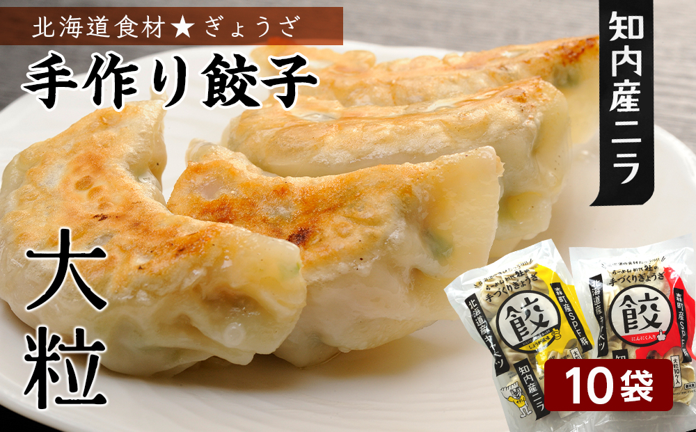 BB036 北海道の食材たっぷり！手作り餃子１０袋セット＜スリーエス＞