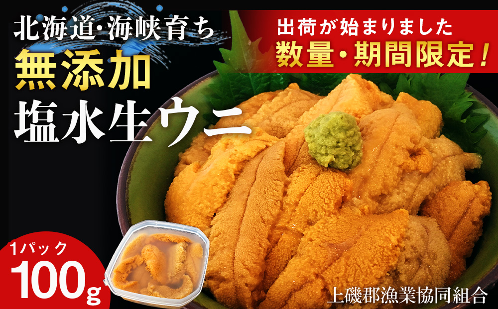【2025年6月中旬以降発送】 キタムラサキウニ 100g×1パック 上磯郡漁業協同組合