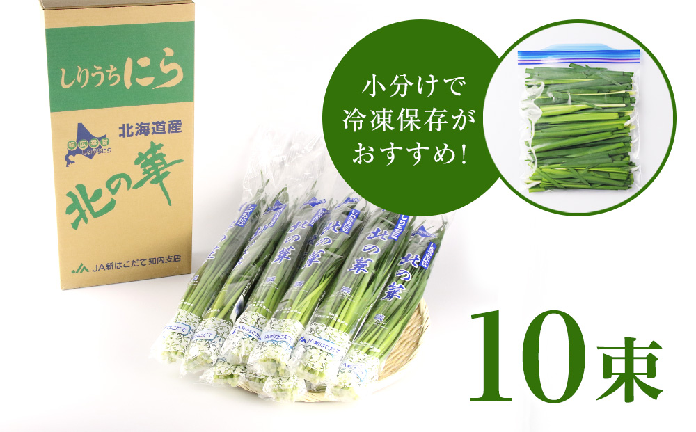 【2025年発送予約】知内産 1番ニラ「北の華」10束【JA新はこだて】