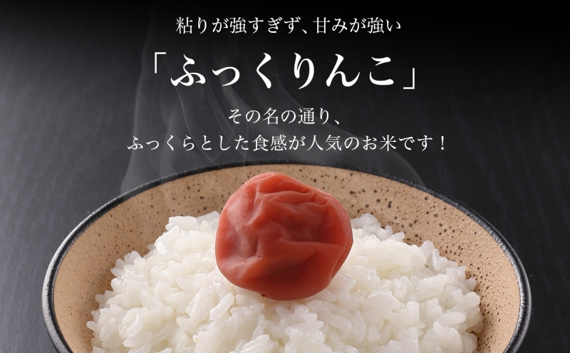 北海道 定期便 6ヵ月連続6回 木古内産 ふっくりんこ 5kg 特A 精米 米 お米 白米 北海道米 道産米 ブランド米 ごはん ご飯 ふっくら 産地直送 木古内公益振興社 送料無料