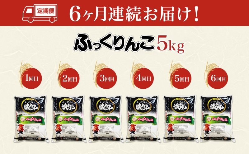 北海道 定期便 6ヵ月連続6回 木古内産 ふっくりんこ 5kg 特A 精米 米 お米 白米 北海道米 道産米 ブランド米 ごはん ご飯 ふっくら 産地直送 木古内公益振興社 送料無料