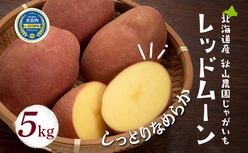 北海道産 じゃがいも レッドムーン 5kg 北海道 ジャガイモ ポテト 芋 いも イモ 紅じゃがいも メークイン 馬鈴薯 旬 野菜 農作物 産地直送 根菜 秋山農園 送料無料