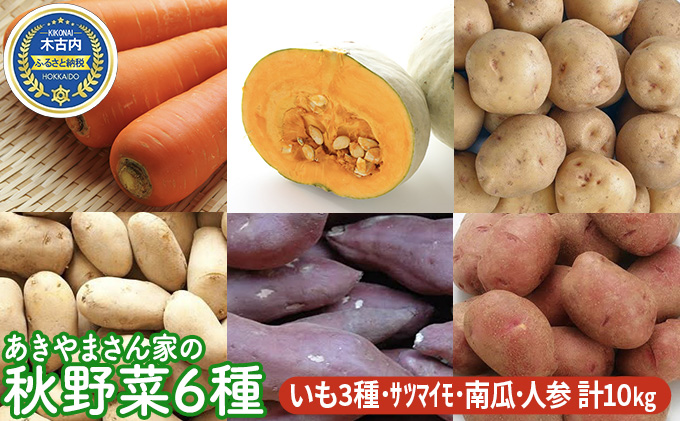 先行予約 北海道産 あきやまさん家 秋野菜 6種　計10kg
