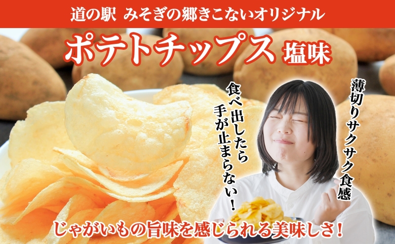 定期便 全6回北海道 オリジナル ポテトチップス 60g 12袋 塩味 道の駅 オリジナル パッケージ ポテチ しお じゃがいも ジャガイモ お菓子 スナック おやつ おつまみ あっさり ポテトチップス みそぎの郷 ご当地 送料無料 木古内