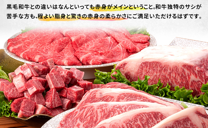 牛肉 はこだて和牛 ブロック肉 2.4kg 和牛 あか牛 小分け 北海道 煮込み料理用
