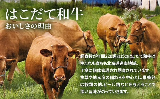 牛肉 定期便 3ヶ月 はこだて和牛 ブロック肉 3.6kg ( 1.2kg × 3回 ) 和牛 あか牛 小分け 北海道 煮込み料理用