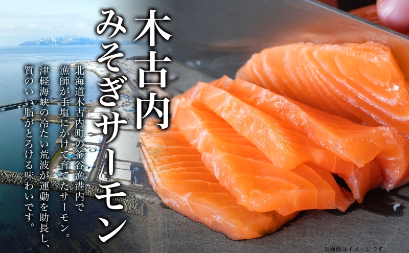 北海道 木古内町トラウトサーモン 半身 500g以上