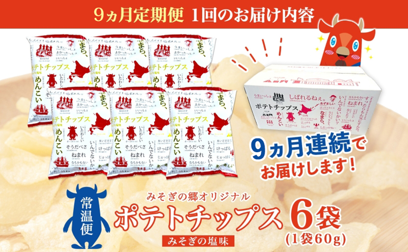 定期便 全9回北海道 オリジナル ポテトチップス 60g 6袋 塩味 道の駅 オリジナル パッケージ ポテチ しお じゃがいも ジャガイモ お菓子 スナック おやつ おつまみ あっさり ポテトチップス みそぎの郷 ご当地 送料無料 木古内