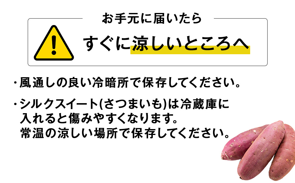 <2026年秋発送>【秋山農園】北海道産 さつまいも シルクスイート5kg