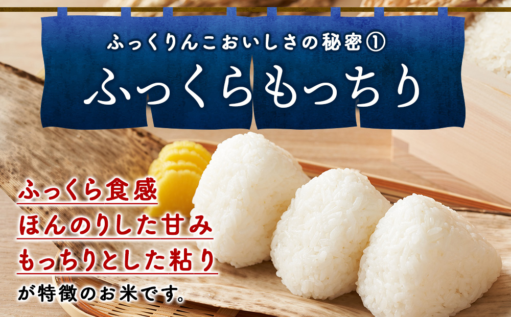 令和７年産！木古内町ふっくりんこ　15kg（5kg×3袋）