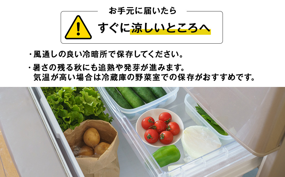 <2026年秋発送>【秋山農園】北海道産 じゃがいも 訳あり 5kg
