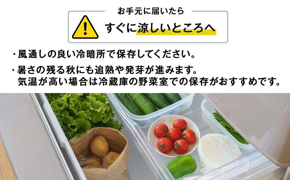 【2026年10月上旬以降順次発送】秋野菜 詰め合わせ 6種 計5kg サツマイモ・かぼちゃ・じゃがいも・にんじん・他おたのしみ秋野菜
