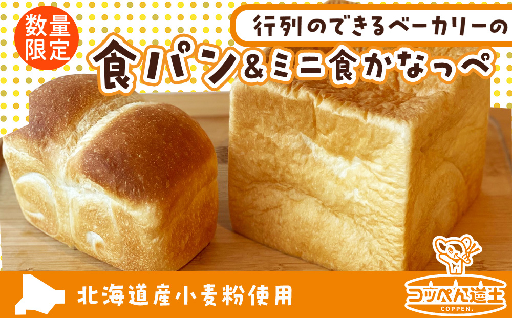 北海道 食パン ミニ食かなっぺ セット 北海道産 小麦 春よ恋 パン トースト 手作り 自家製 焼きたて 酵母 ベーカリー 朝ごはん 軽食 モーニング 道の駅 冷凍 お取り寄せ 人気 自家用 ギフト 贈答用 コッぺん道土 送料無料 木古内 木古内町