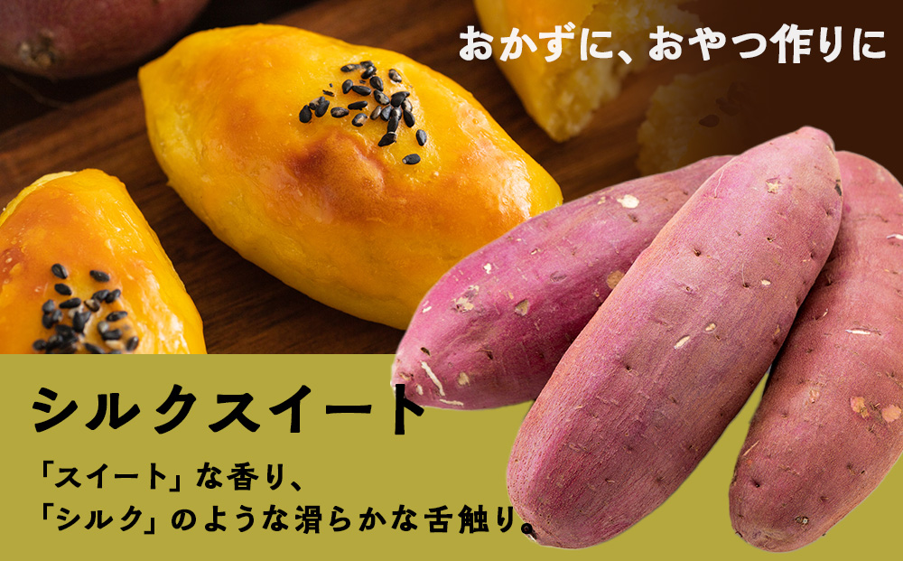 <2026年秋発送>【秋山農園】北海道産 さつまいも シルクスイート5kg