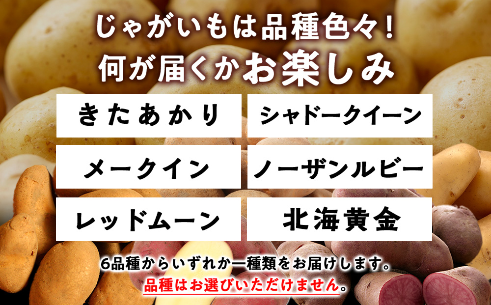 【2026年10月上旬以降順次発送】秋野菜 詰め合わせ 6種 計5kg サツマイモ・かぼちゃ・じゃがいも・にんじん・他おたのしみ秋野菜