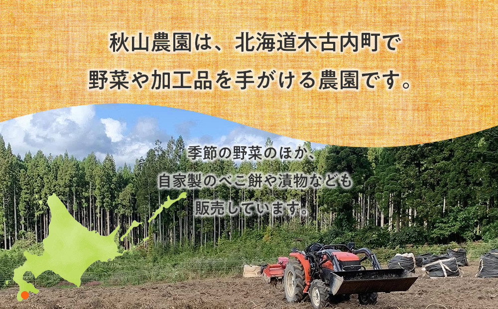 【2026年10月上旬以降順次発送】秋野菜 詰め合わせ 6種 計5kg サツマイモ・かぼちゃ・じゃがいも・にんじん・他おたのしみ秋野菜