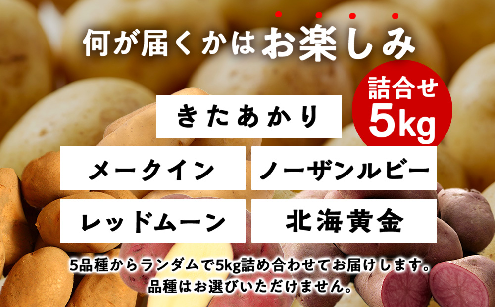 <2026年秋発送>【秋山農園】北海道産 じゃがいも 訳あり 5kg