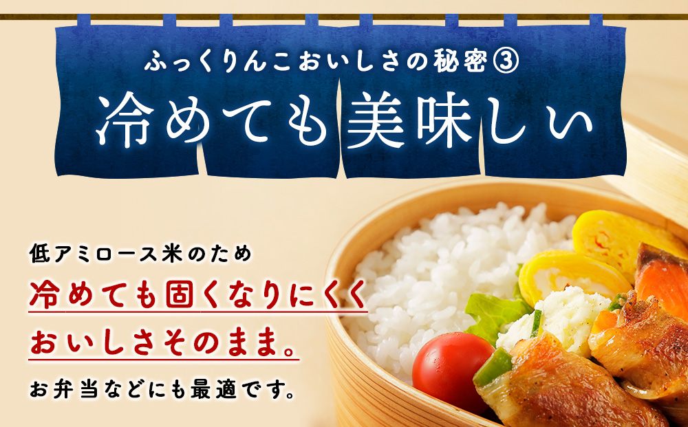 令和７年産！木古内町ふっくりんこ　10kg（5kg×2袋）
