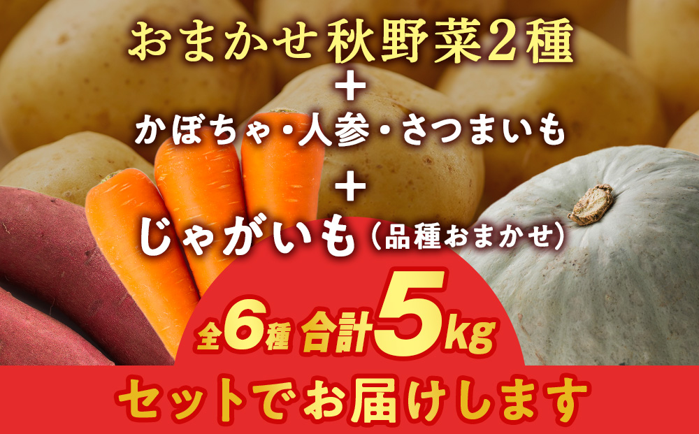 【2026年10月上旬以降順次発送】秋野菜 詰め合わせ 6種 計5kg サツマイモ・かぼちゃ・じゃがいも・にんじん・他おたのしみ秋野菜