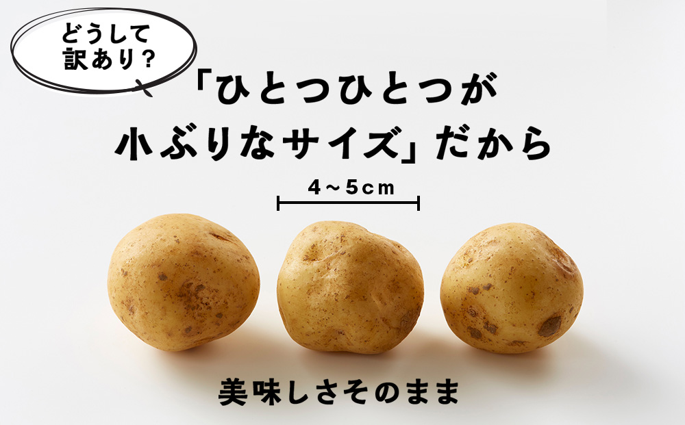 <2026年秋発送>【秋山農園】北海道産 じゃがいも 訳あり 5kg
