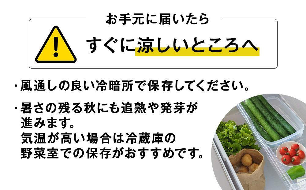 <2026幎ç§çºé>ãç§å±±èŸ²åãåæµ·éç£ ã¡ãŒã¯ã€ã³5kg