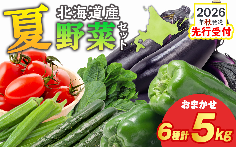 【2026年夏発送】秋山農園のおすすめ夏野菜セット5kg 5種 野菜詰め合わせ