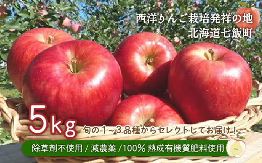 北海道七飯町産 りんご 5kg 除草剤不使用 減農薬 有機質肥料使用 NAR002