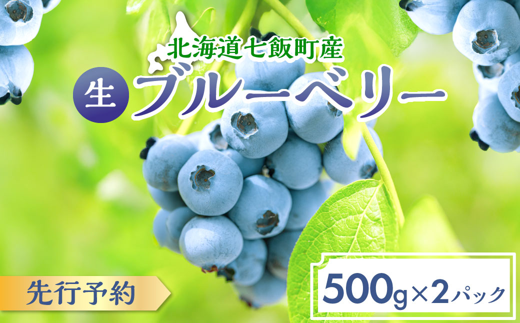 【先行予約】 令和8年7月下旬頃より発送  北海道七飯町産 生ブルーベリー 500g×2パック NAR001